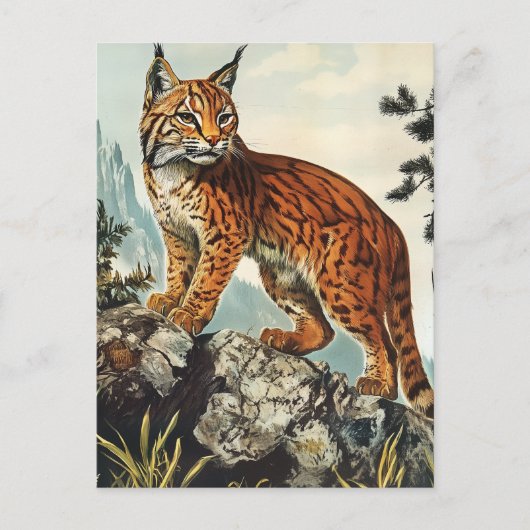 Carte Postale Lynx vintage (Devant)