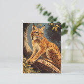 Carte Postale Lynx vintage (Debout devant)