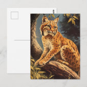 Carte Postale Lynx vintage (Devant / Derrière)