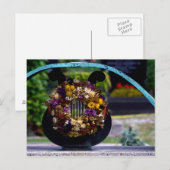 Carte Postale Lyre Aux Fleurs De Paille (Devant / Derrière)