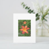 Carte Postale : Lys (Debout devant)