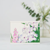 Carte Postale lys africain de maïs, Vanda coerulea, Tanigami Kon (Debout devant)