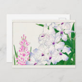 Carte Postale lys africain de maïs, Vanda coerulea, Tanigami Kon (Devant / Derrière)