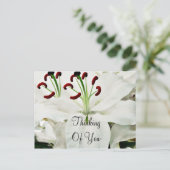 Carte Postale Lys blancs_ (Debout devant)