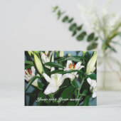 Carte Postale lys blancs (Debout devant)