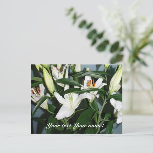 Carte Postale lys blancs (Debout devant)