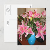 Carte postale Lys brillant (Devant / Derrière)