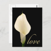 Carte Postale Lys calla blanc simple (Devant / Derrière)
