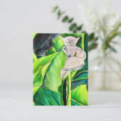 Carte Postale Lys d'arum blanc aquarelle florale tropicale (Debout devant)