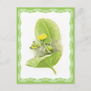 Carte Postale Lys de fleurs