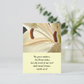 Carte Postale Lys de lumière (Debout devant)