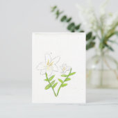 Carte Postale Lys de Pâques blancs (Debout devant)