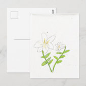 Carte Postale Lys de Pâques blancs (Devant / Derrière)