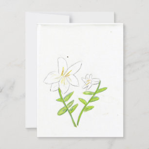 Carte Postale Lys de Pâques blancs