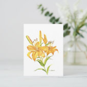 Carte Postale Lys de tigre (Debout devant)