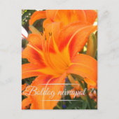 Carte Postale Lys de tigre - Jour du nom (Devant)