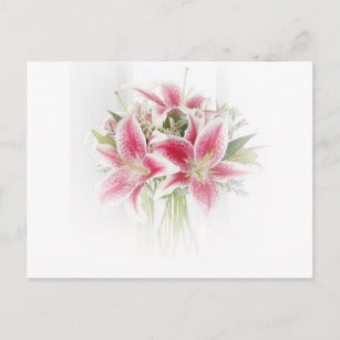 Carte Postale lys de tigre rose et blanc