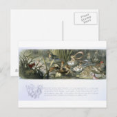 Carte Postale Lys d'eau et fées d'eau, illustration de (Devant / Derrière)