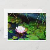Carte Postale Lys d'eau flottant dans un étang (Devant / Derrière)