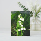 Carte Postale Lys Des Fleurs De Vallée (Debout devant)