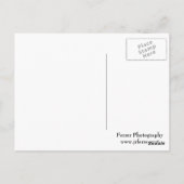 Carte Postale Lys Lotus Flower et Lily (Dos)