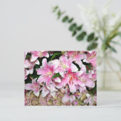 Carte Postale Lys roses et Hydrangea (Debout devant)