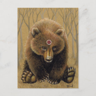 Carte Postale M. Bear
