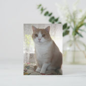 Carte Postale M. Big Eyes (Debout devant)