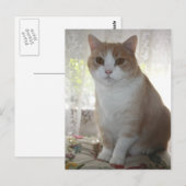 Carte Postale M. Big Eyes (Devant / Derrière)