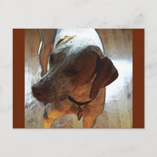 Carte Postale M. Bo-Bo