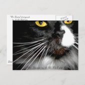 Carte Postale "M. Bootee" (Devant / Derrière)