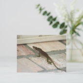 Carte Postale M. Brown Lizard (Debout devant)