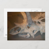 Carte Postale M.dino #2 (Devant / Derrière)