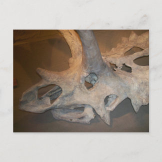 Carte Postale M.dino #2