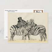Carte Postale M. et Mme Zebra Fancy couple (Devant / Derrière)