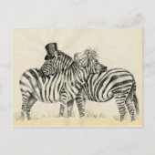 Carte Postale M. et Mme Zebra Fancy couple (Devant)