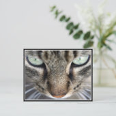 Carte Postale M. Face (Debout devant)