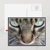 Carte Postale M. Face (Devant / Derrière)