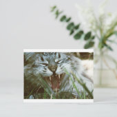 Carte Postale M. Fangs (Debout devant)