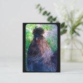 Carte Postale M. Fluffy le coq Silkie (Debout devant)