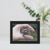 Carte Postale M. lizard (Debout devant)