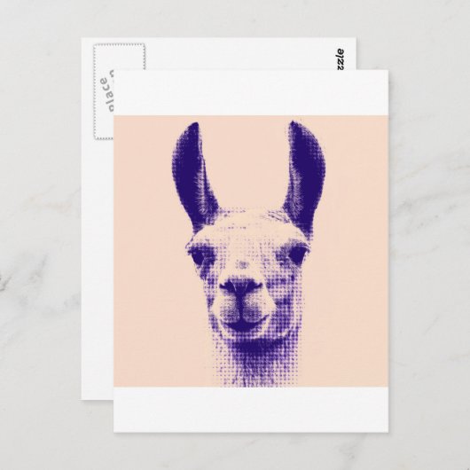 Carte Postale M. Llama (Devant / Derrière)
