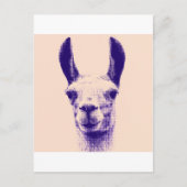 Carte Postale M. Llama (Devant)
