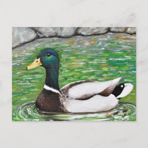 Carte Postale M. Mallard Peinture de canard