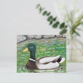 Carte Postale M. Mallard Peinture de canard (Debout devant)