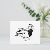 Carte Postale M. & Mme Duck (Debout devant)