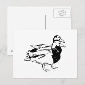 Carte Postale M. & Mme Duck (Devant / Derrière)