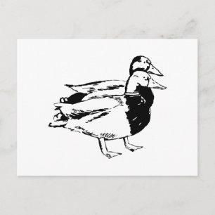 Carte Postale M. & Mme Duck