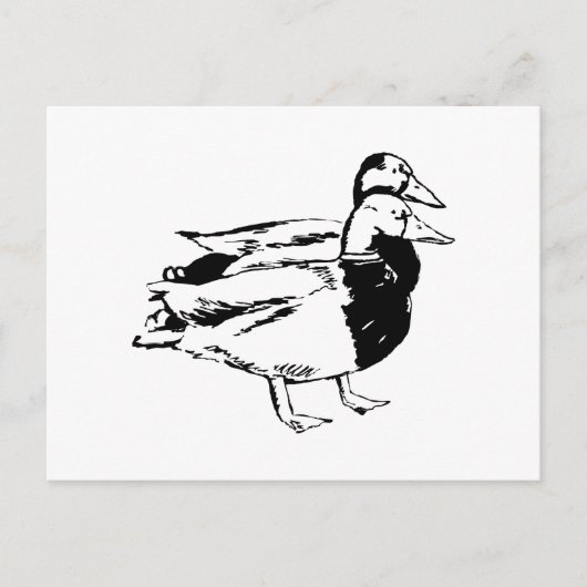 Carte Postale M. & Mme Duck (Devant)