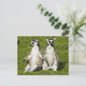 Carte Postale M. & Mme Lemur (Debout devant)